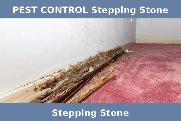 PEST CONTROL Stepping Stone
